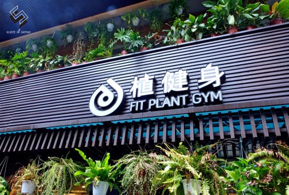 心之所向，散發溫度的都市避風港【植健身 Fit Plant】台北健身房推薦