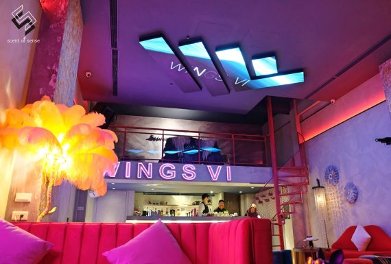 張開愛情的翅膀，擁抱醉愛與自由【Wings VI Bistro】台中西屯區酒吧推薦