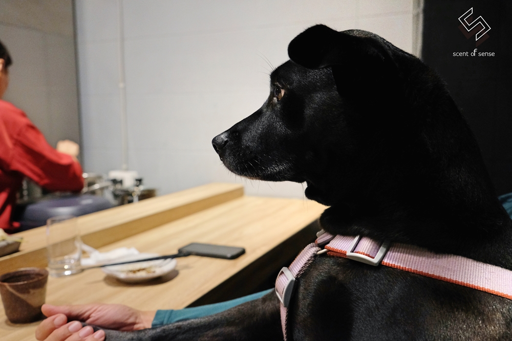 冷雨繪浮生，炭火破霧炙潮香【在水 ZaiSui】基隆無菜單燒鳥推薦 - 質人星球。品玩生活 sosense.tw